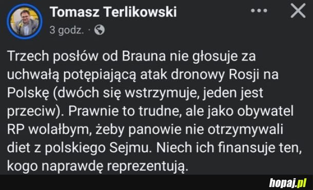 Terlikowski