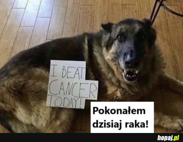 Brawo piesku