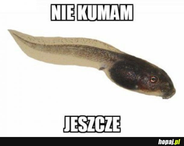 Nie kumam