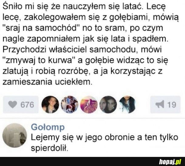 Gołębie