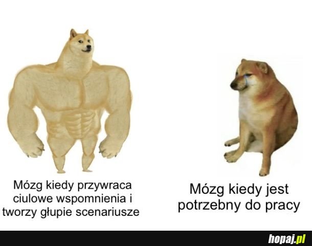 Nie chce współpracować