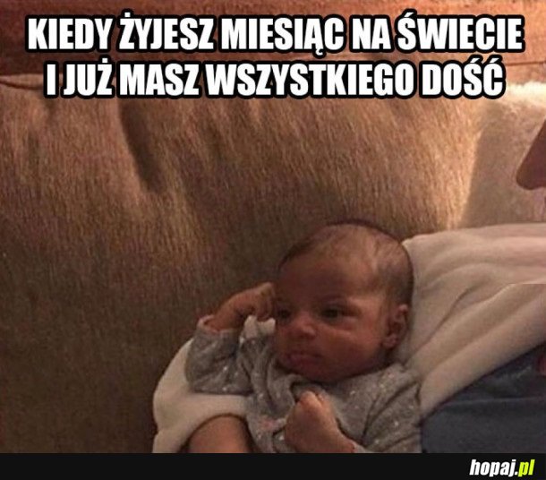 ZIOM MA JUŻ WSZYSTKIEGO DOŚĆ