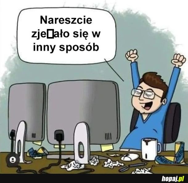 Bycie programistą