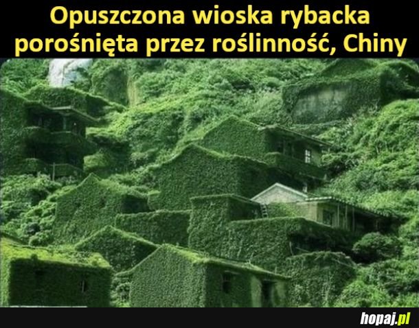 Opuszczona wioska rybacka porośnięta przez roślinność, Chiny