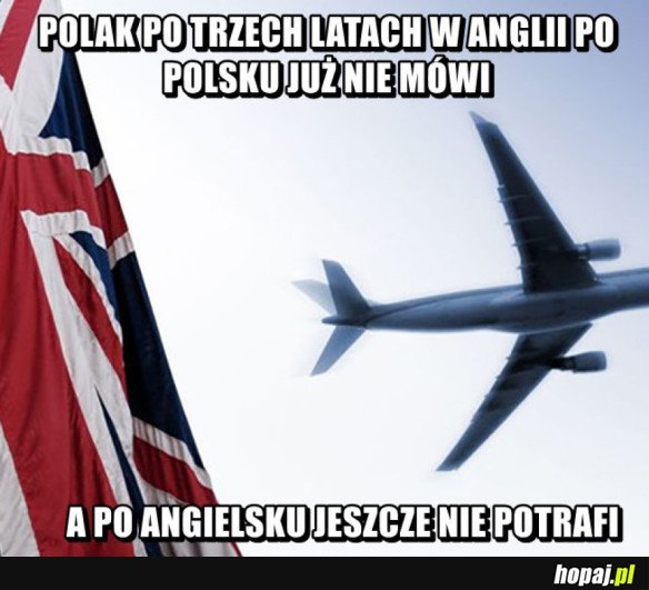 Polak w Anglii