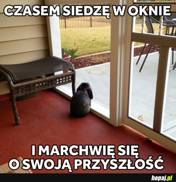 CZASEM SIEDZĘ W OKNIE...