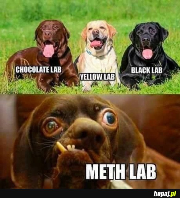 METH LAB