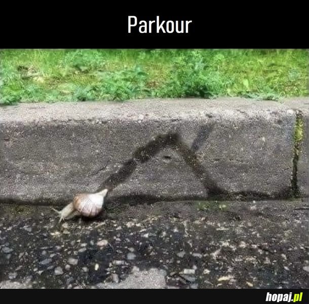 Parkour