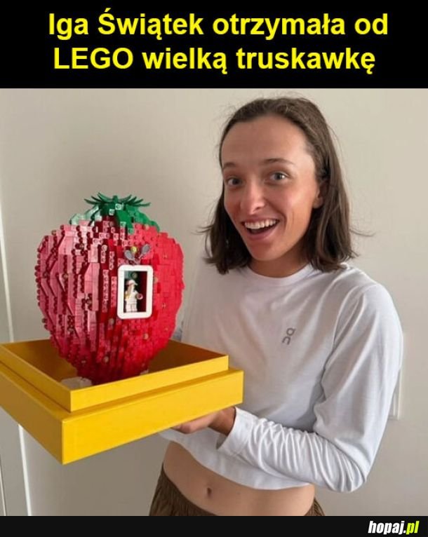 LEGO