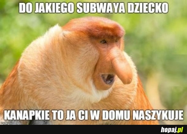 TYPOWY POLSKI OJCIEC