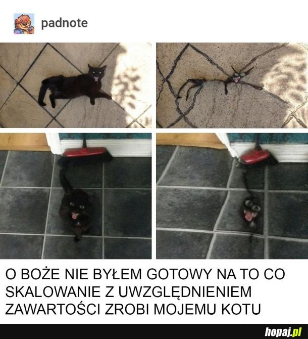Nie byłem na to gotowy