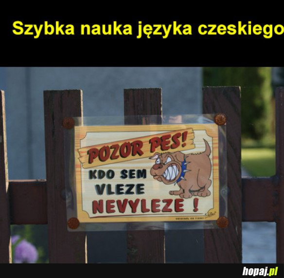 SZYBKA NAUKA