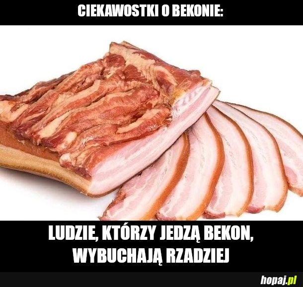 Nie są aż tak temperamentni