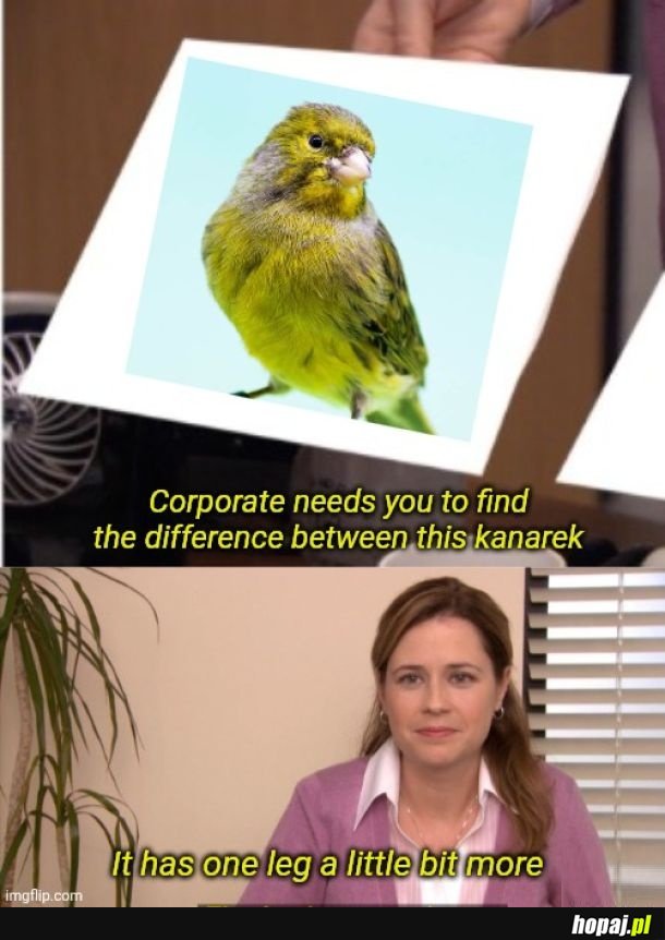 I have achieved comedy