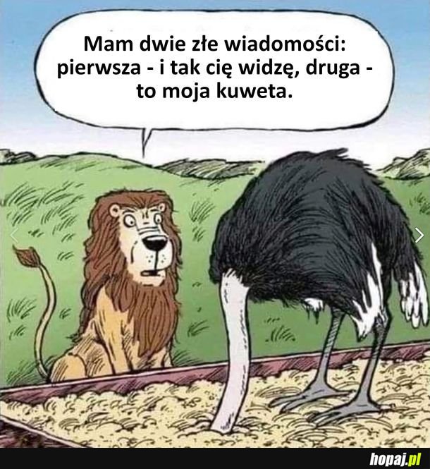 Wiadomości