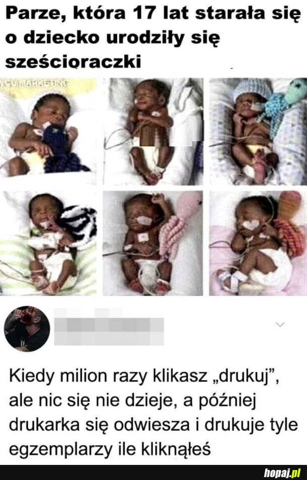 Drukarka