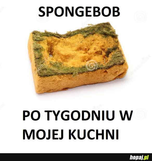 SPONGEBOB