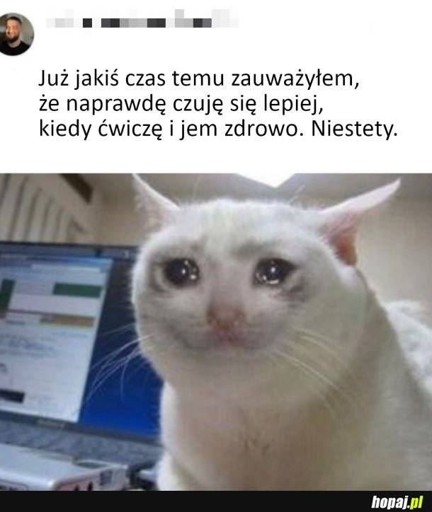Niestety