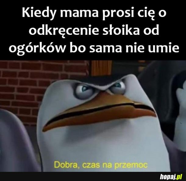 Jestem siłaczem