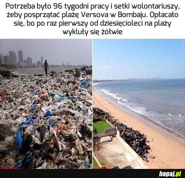 Było warto