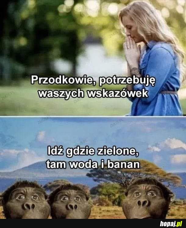 Może to i jest jakieś rozwiązanie nowoczesnych problemów...