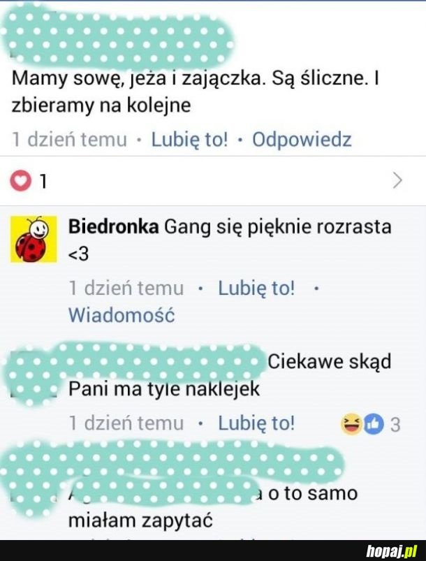 Grażyny już w natarciu, a to dopiero początek