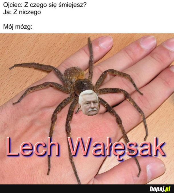 Z czego się śmiejesz