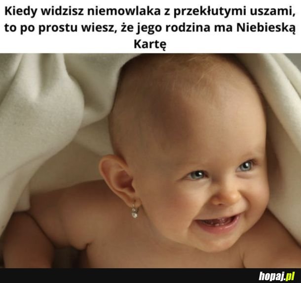 Coś w tym jest