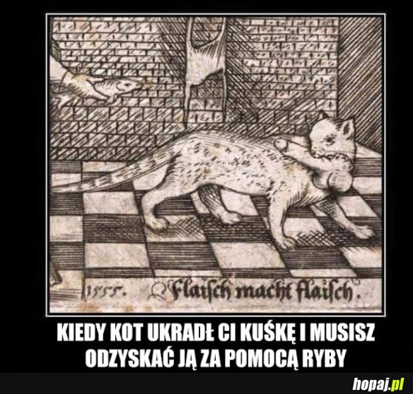 Koteł 