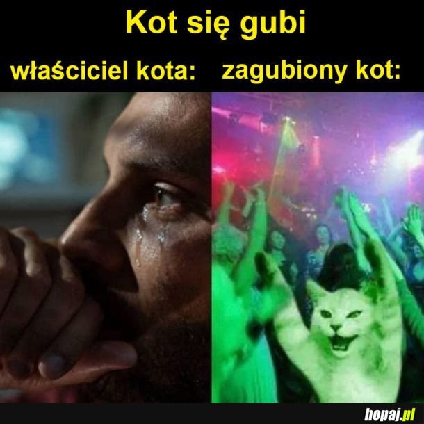 Biedny kotek xd