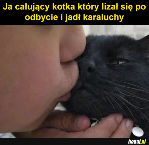 Cmoook
