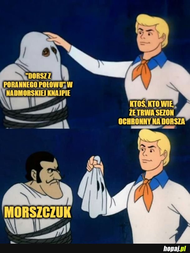 Dorsz. 