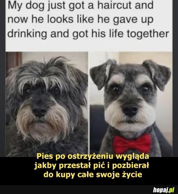 Ułożył sobie życie