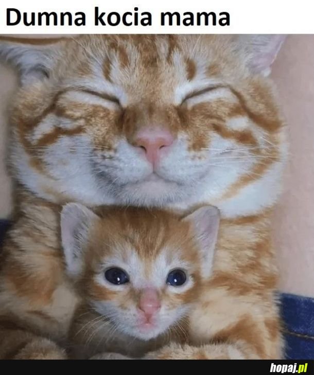 Mama