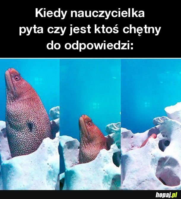 Nie ma mnie