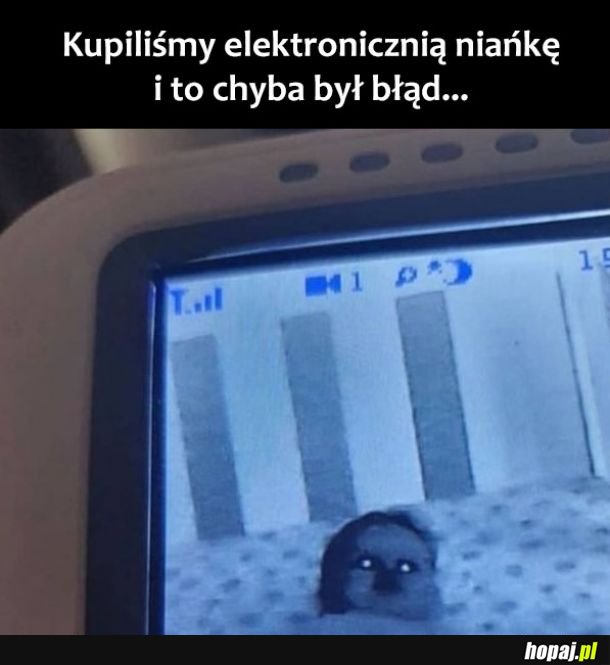 Elektroniczna niania