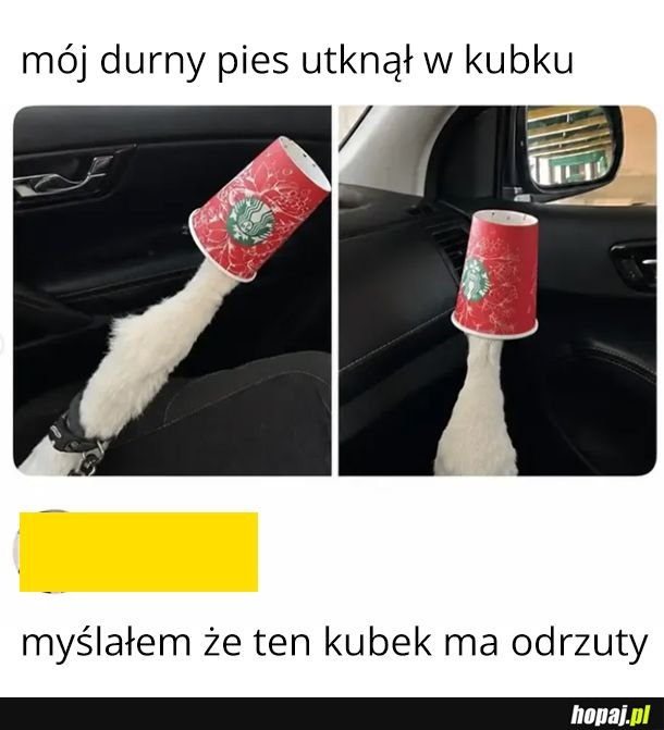 Kubek