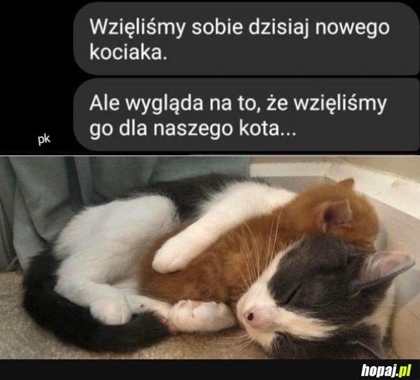 Adopcja