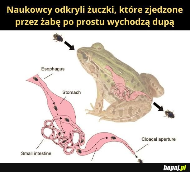 Przyroda jest fascynująca...