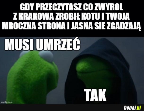 Wk@rwia mnie to, co to znaczy max 5 lat?..Za skatowanie?.. Za amputacje?