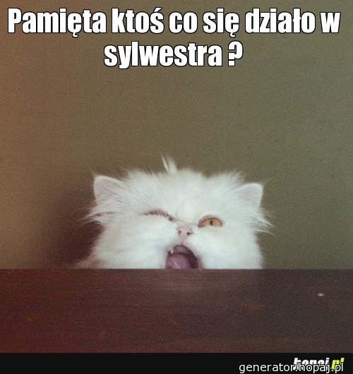 Pamięta ktoś co się działo w sylwestra ?