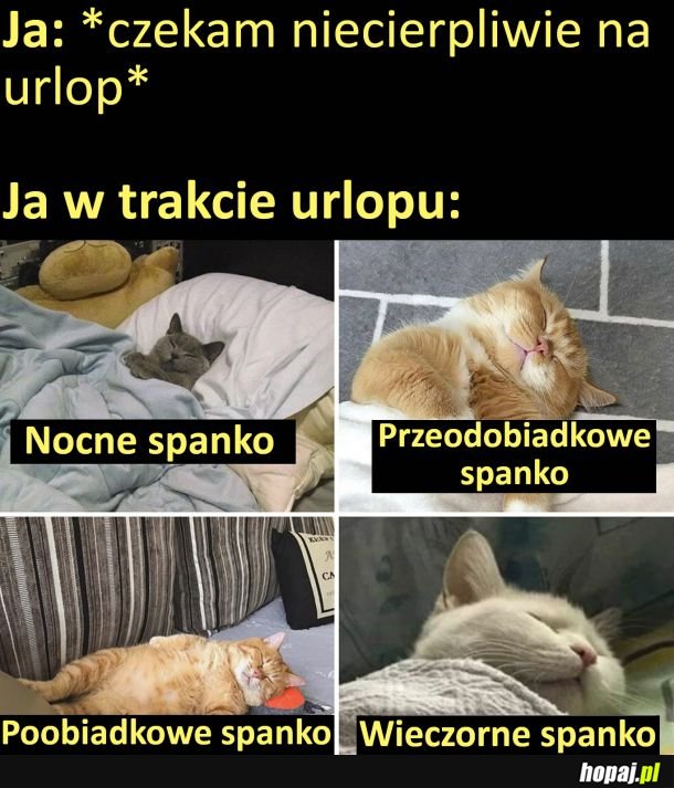 Długo wyczekiwany urlop