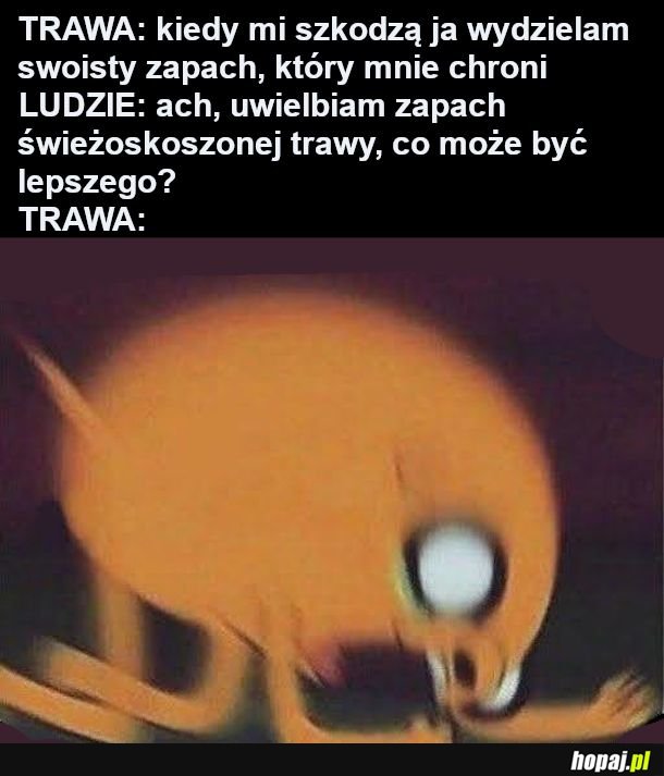 Boże dlaczego ludzie są tacy dziwni