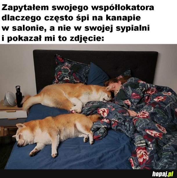 Teraz wiadomo