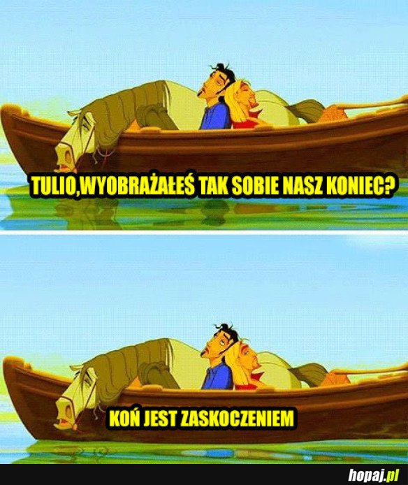 NIKT SIĘ NIE SPODZIEWAŁ KONIA