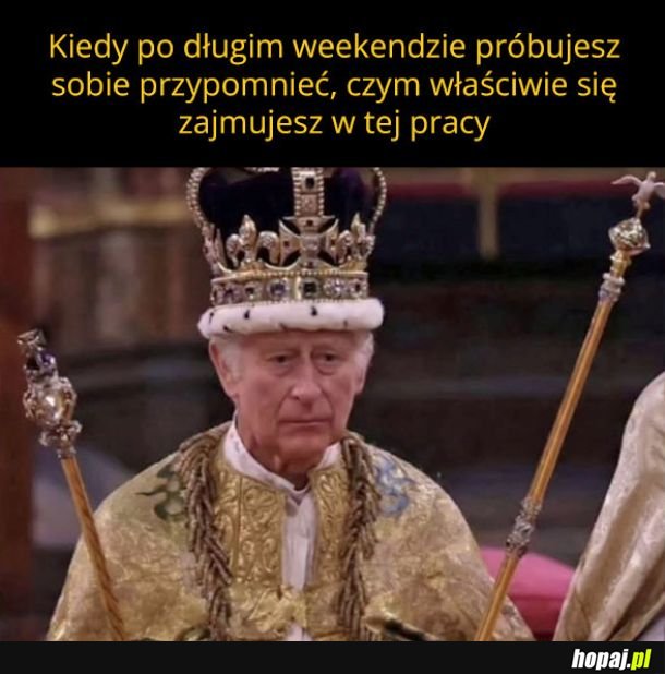 Co ja tu robił