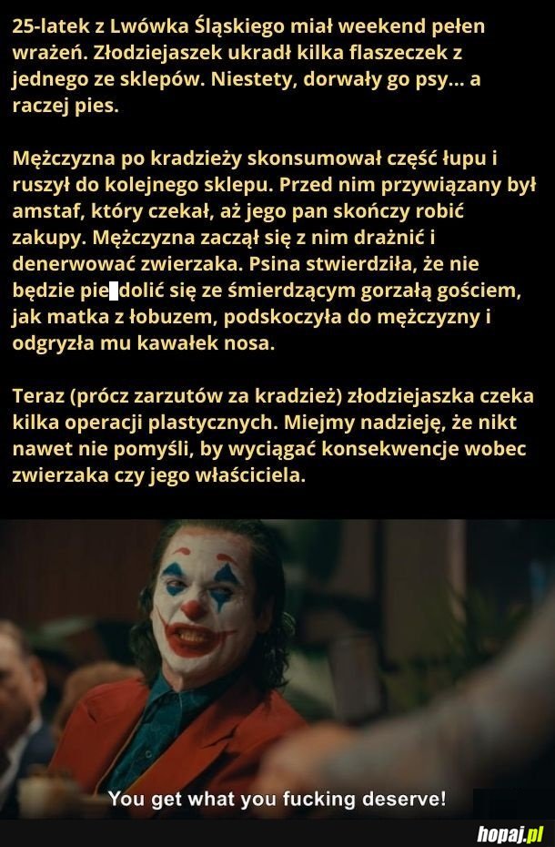 Dobry piesek!