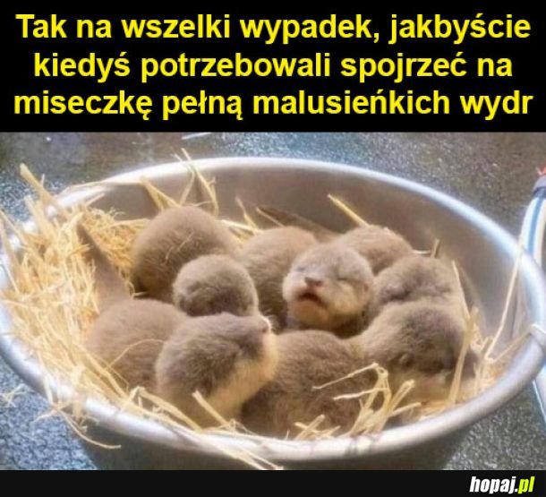 Na dobry dzień