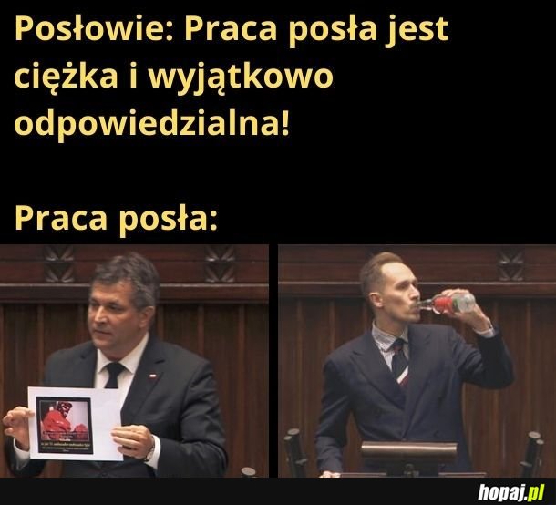 Ciężka praca posła. Trzeba oglądać memy i chlać. A MOŻE JA TEŻ JESTEM POSŁEM?