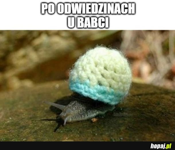 Dzisiaj Dzień Babci!